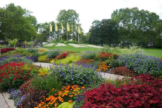 Der Luisenpark in Mannheim